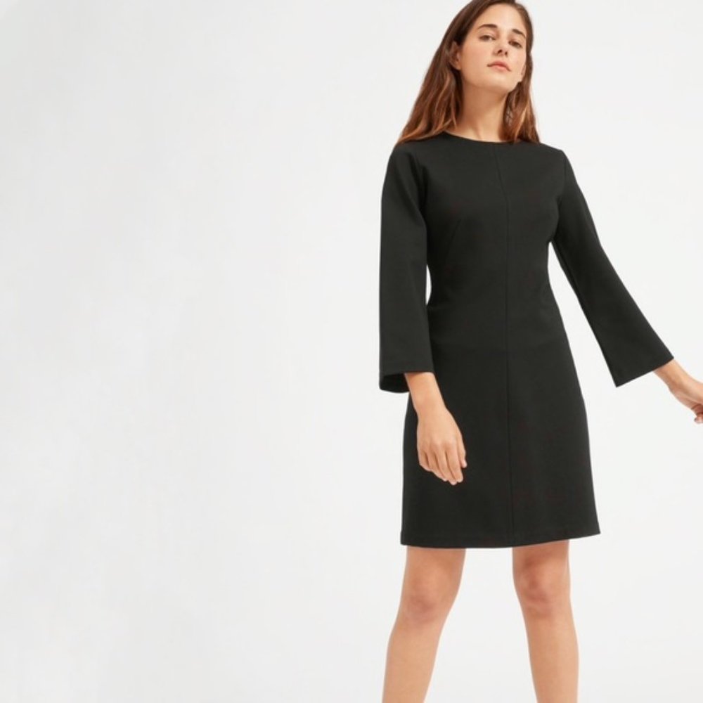 Everlane Long Sleeve Shift Dress